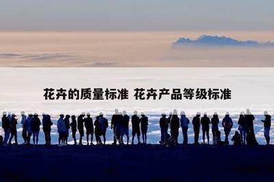 花卉的质量标准 花卉产品等级标准